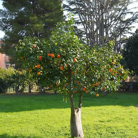 Apartamento Manilu Maison