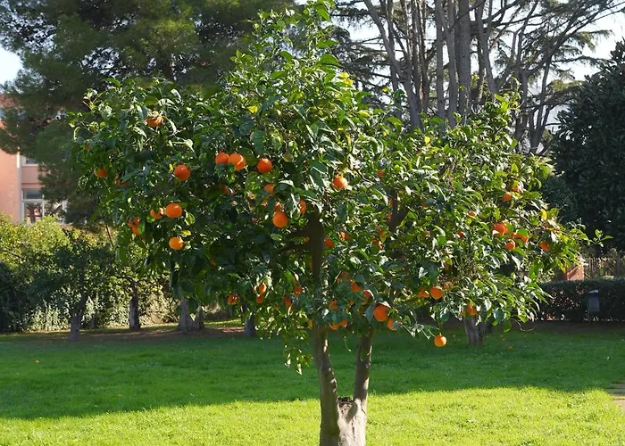 Apartment Manilu Maison